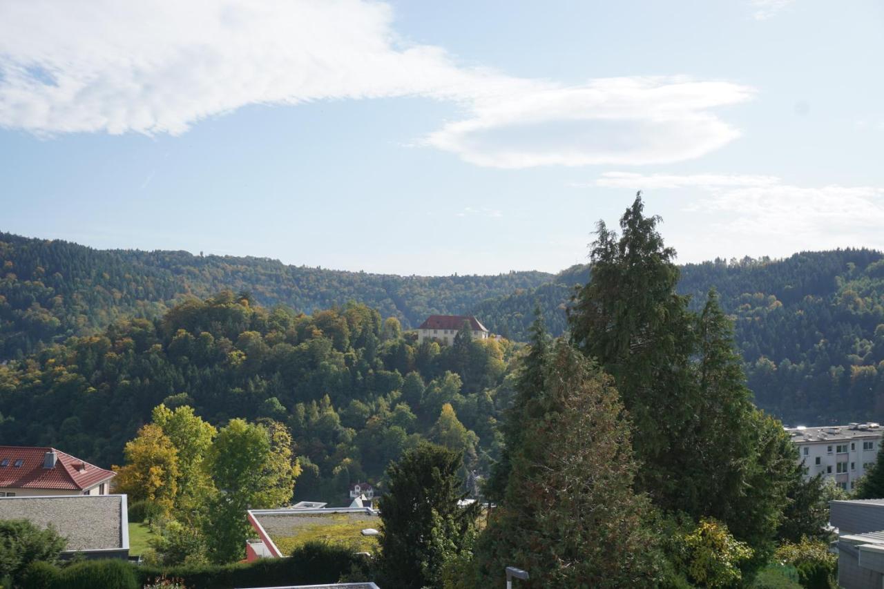 Ferienwohnung Schauinsland 诺伊恩比尔格 外观 照片